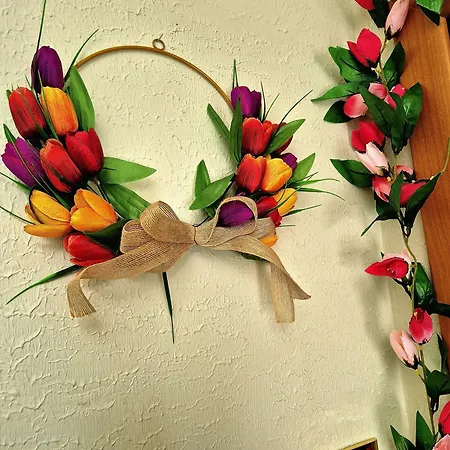 Olive Tree'S House-3
